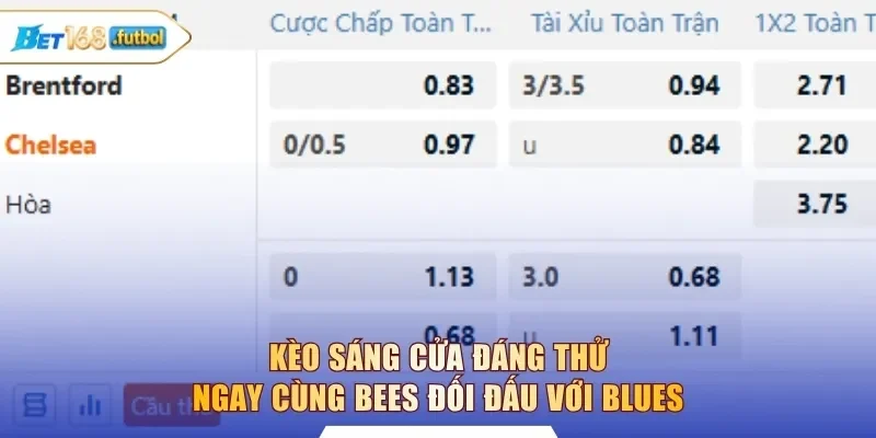 Kèo sáng cửa đáng thử ngay cùng Bees đối đấu với Blues